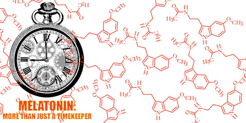 Clockwork Melatonin WP