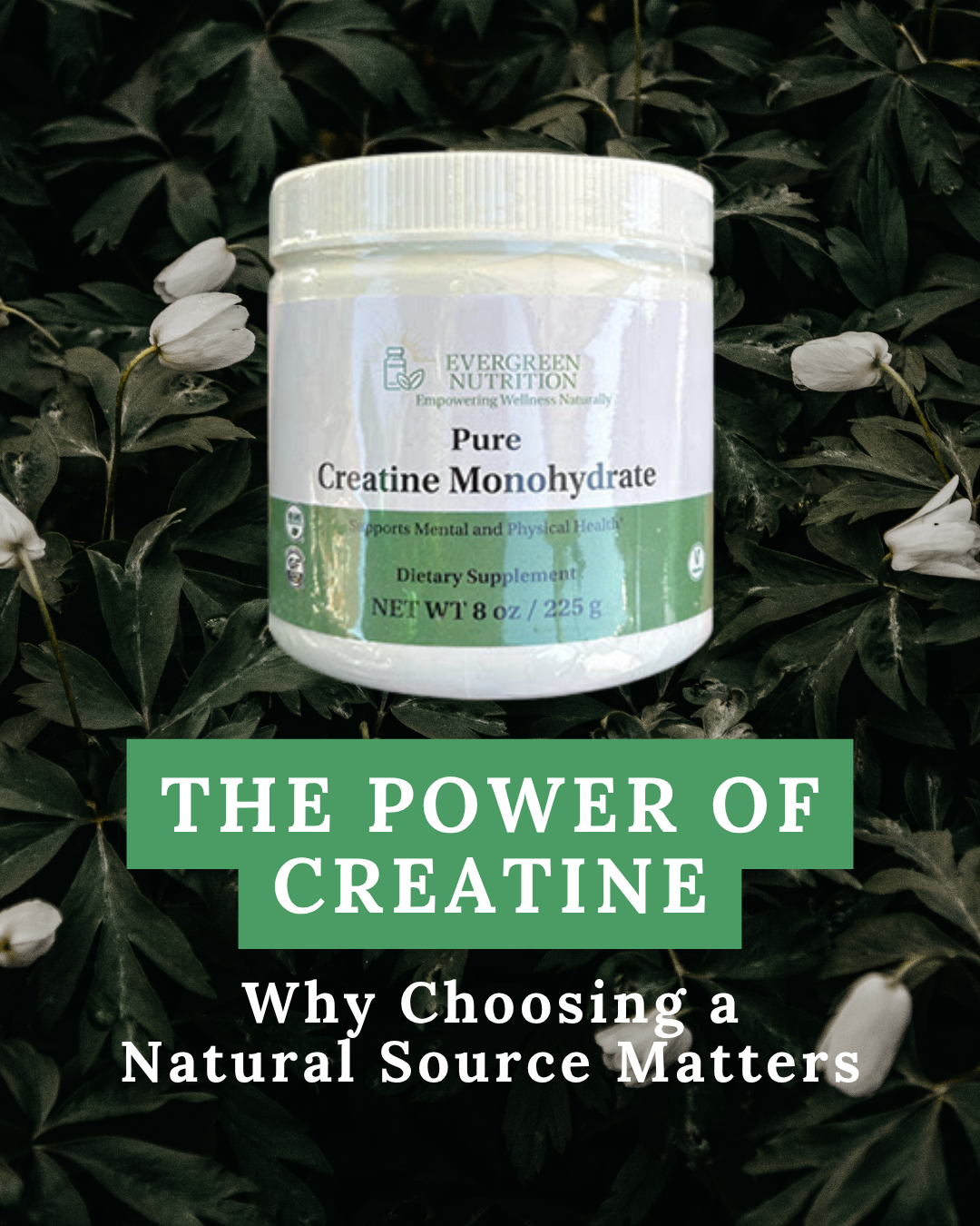 The Power of Creatine: Why Choosing a Natural Source Matters  Evergreen  Nutrition