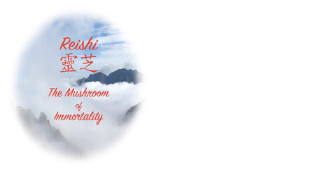 WP Reishi Misty Mountains