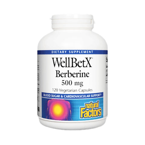 WELLBETX BERBERINE 500 MG 120