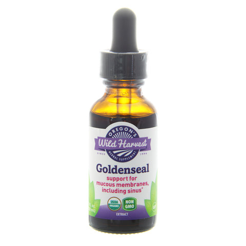 GOLDENSEAL ROOT 1 OZ