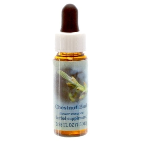 HH CHESTNUT BUD, 1/4 OZ.