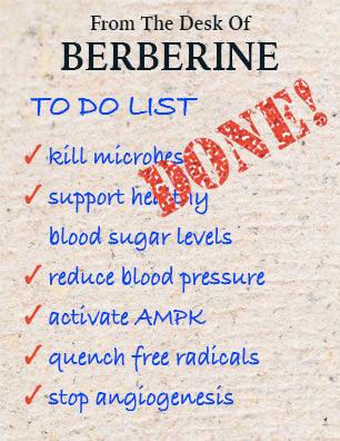 Berberine To Do List