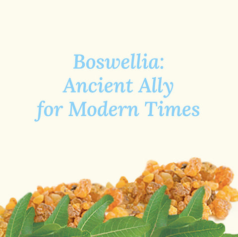 Boswellia: Ancient Ally for Modern Times