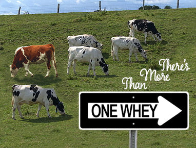 Which Whey is Best for You? Choose 1, 2 or Both! – Evergreen Nutrition
