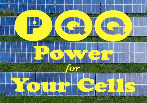 PQQ Power
