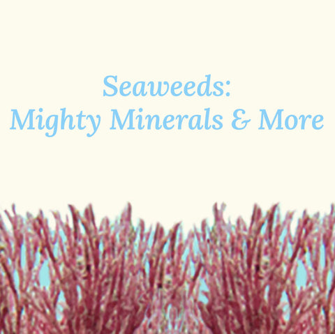 Sea Weeds: Mighty Minerals