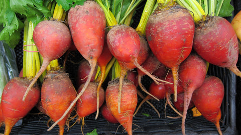 food-harvest-produce-vegetable-market-agriculture-693130-pxhere.com