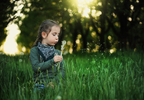 Free image/jpeg Resolution: 3630x2508, File size: 2.85Mb, Girl is blowing on a dandelion in a field