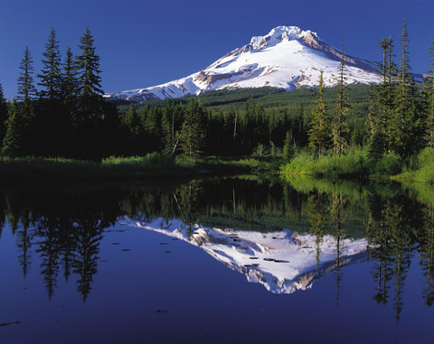 landscape-tree-water-nature-forest-wilderness-