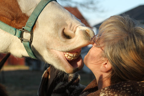 Woman-person-people-animal-horse-smile