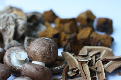mushrooms-5817763_1920