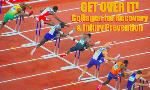 p.3666.1-collagen_hurdlers