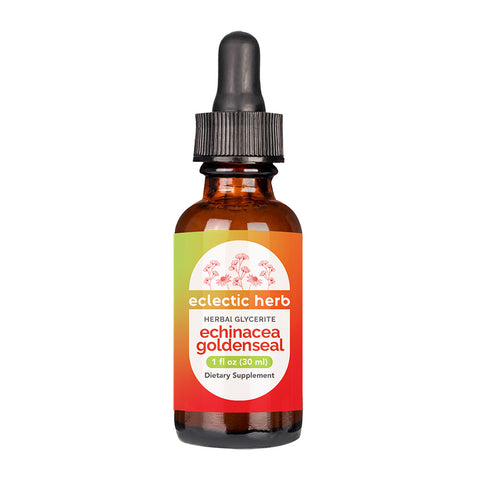 ECHINACEA GOLDEN ORANG AF 1OZ