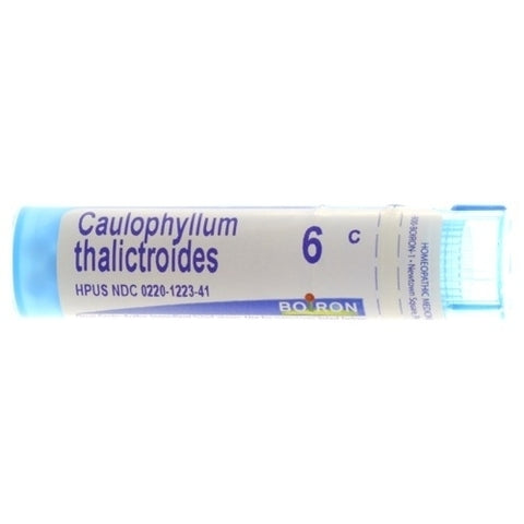 CAULOPHYLLUM THALICT 6 C MD