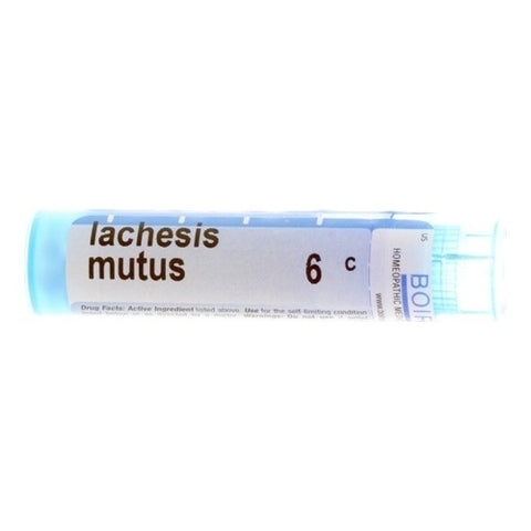 LACHESIS MUTUS 6 C  MD