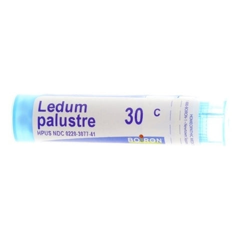 LEDUM PALUSTRE 30 C  MD