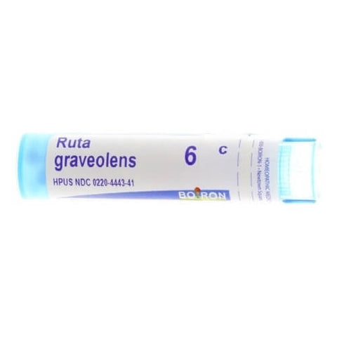 RUTA GRAVEOLENS 6 C  MD