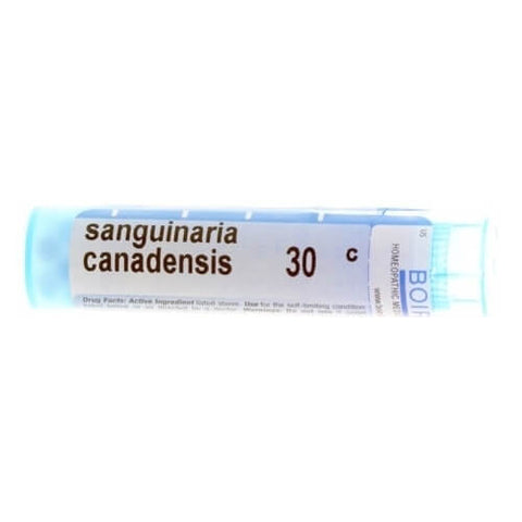 SANGUINARIA CAN 30C