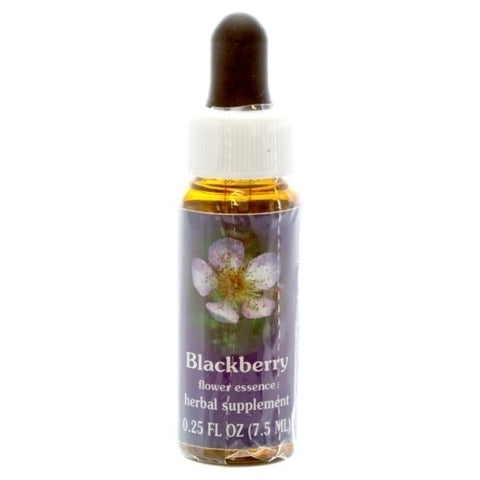 FES BLACKBERRY, 1/4 OZ.