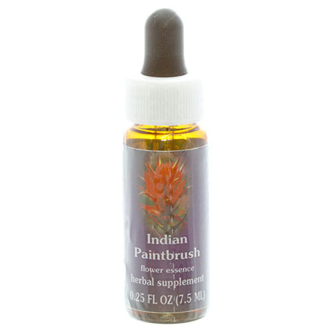 FES INDIAN PAINTBRUSH, 1/4 OZ.