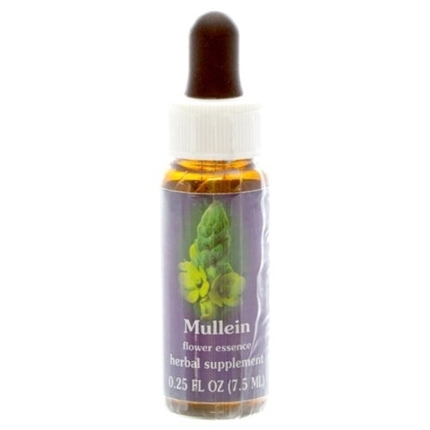 .FES MULLEIN, 1/4 OZ.