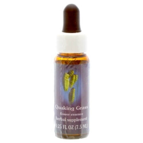 FES QUAKING GRASS, 1/4 OZ.
