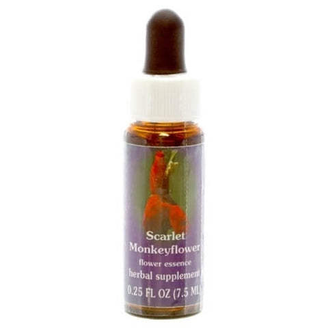 FES SCARLET MONKEYFLOWER 1/4