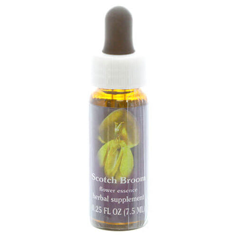 FES SCOTCH BROOM, 1/4 OZ.