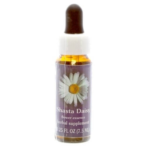.FES SHASTA DAISY, 1/4 OZ