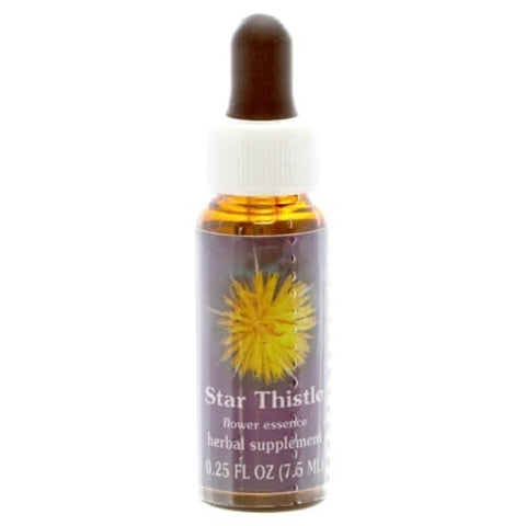 FES STAR THISTLE, 1/4 OZ.