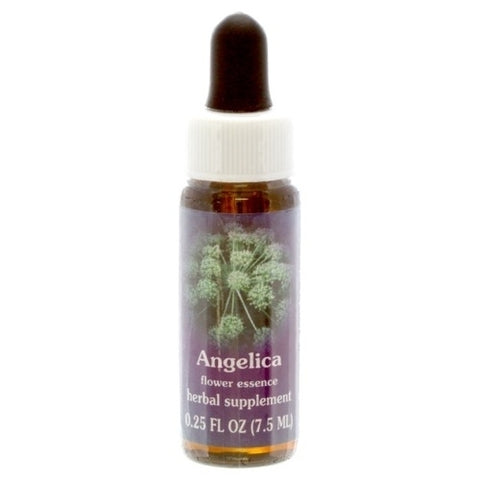 FES ANGELICA, 1/4 OZ.