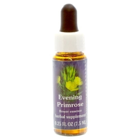 FES EVENING PRIMROSE, 1/4 OZ.