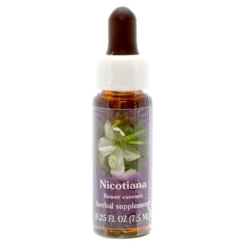 FES NICOTIANA, 1/4 OZ.