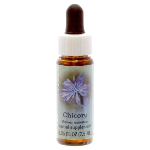 HH CHICORY, 1/4 OZ.