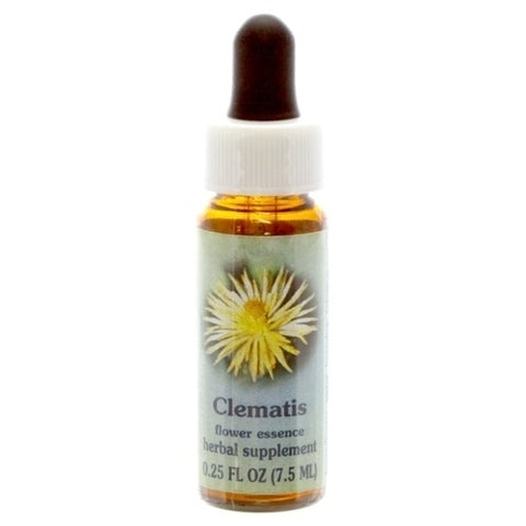 HH CLEMATIS, 1/4 OZ.