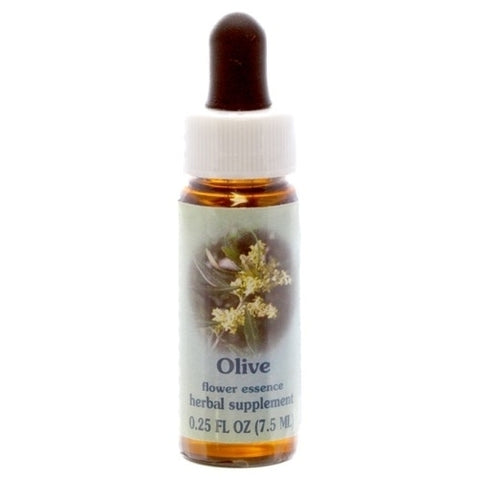 HH OLIVE, 1/4 OZ.