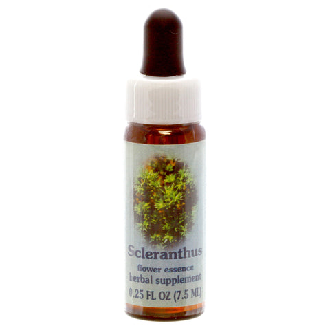 HH SCLERANTHUS, 1/4 OZ.