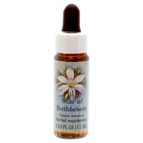 HH STAR OF BETHLEHEM, 1/4 OZ.