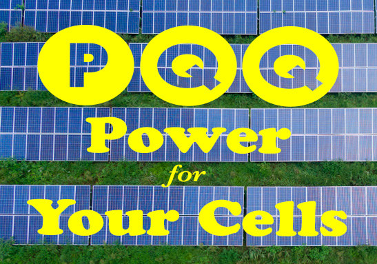 PQQ Power for Your Cells