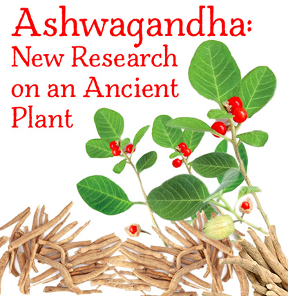 ashwagandha research paper pdf