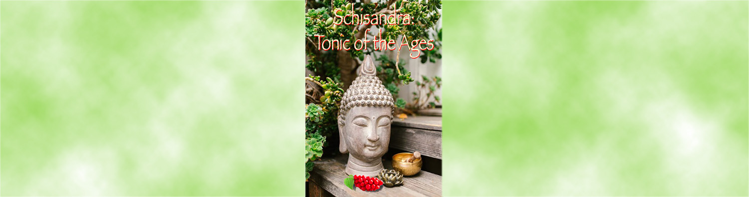 Schisandra: Tonic of the Ages