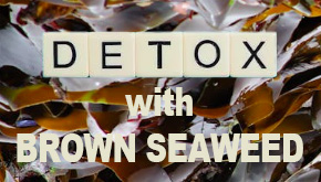 Detox with Brown Seaweed